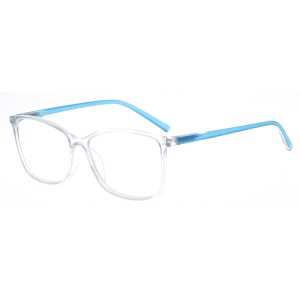 Plastic Reading Glasses